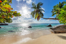 Tropical White Sand Beach With Coco Palms And The Turquoise Sea At Sunset On Seychelles Island.	