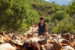 © Westend61 - Female farmer with walking cane amidst goats hiking on sunny day