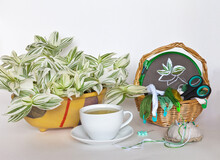 Still Life With A Houseplant Tradescantia, A Cup Of Green Tea And Hand Embroidery In A Wicker Basket On A White Background. Focus On Embroidery In The Hoop. Sewing And Needlework As A Hobby