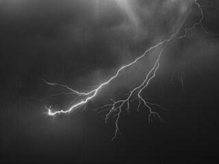Wall Mural - lightning bolt with many side branches high up in the sky
