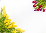Fototapeta Tulipany - Красиво разложены цветы. Набор тюльпанов на белом фоне. Открытка на 8 марта, день матери и любой праздник.