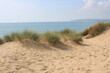 © cheekylorns - Camber sands East Sussex UK - view of Camber Sand dunes with sky and sea dunes held together with grasses stopping sand blowing away