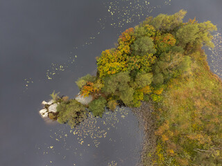 Wall Mural - Drone nature photography taken from above in Sweden in fall time. Bird's eye view of a lake with trees in autumn colors. Dark water surface background, copy space and place for text.