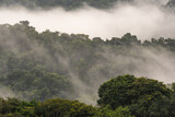 Fototapeta  - Moody landscape looking over the tropical rainforest of Trinidad and Tobago with misty clouds.