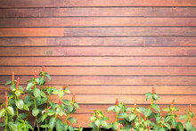 Background Texture Wooden Arrangement At Wall Close Flowers 