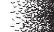 © Marina - Black silhouette of flying bats flock isolated on white background.