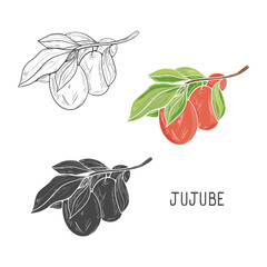 Wall Mural - Jujube. Fruit and leaves. Sketch. Set. A design element.