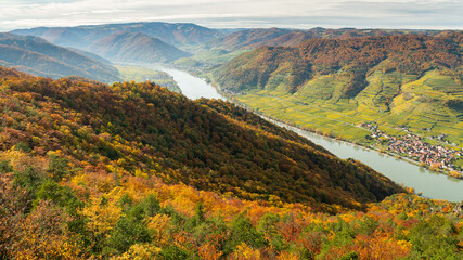 Wall Mural - Wachau valley on a sunny day in autumn