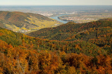 Wall Mural - Wachau valley on a sunny day in autumn