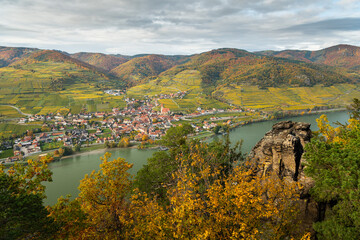 Wall Mural - Weissenkirchen Wachau Austria in autumn colored leaves and vineyards