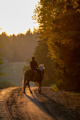 Wall Mural - Woman horseback rides on the country road at sunset