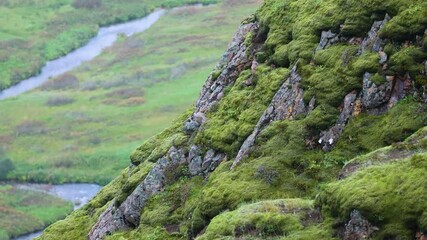 Wall Mural - view of a beautiful green mountain side landscape with thee river flowing along the side.  the natural scenic view is a great attraction for travelers and tourist