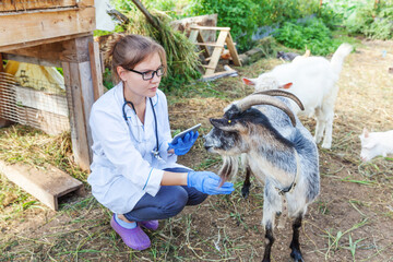 Wall Mural - Young veterinarian woman with tablet computer examining goat on ranch background. Vet doctor check up goat in natural eco farm. Animal care and ecological livestock farming concept.