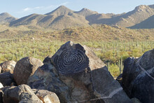 Petroglyphs Of The Ancient Hohokam People In Saguaro National Park, Giant Cactus On The Back, Arizona, United States