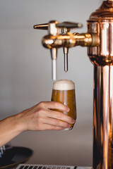 Wall Mural - Vertical shot of a person filling the glass with beer