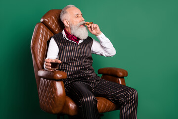 Sticker - Profile photo of british aristocrat sit chair drink luxury cognac smoke cigar wear striped suit on green color background