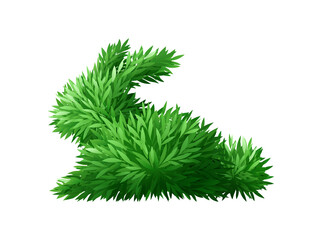 Sticker - Bush Realistic Illustration