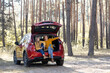 © Sergii Mostovyi - family trip by car