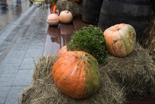 The Entrance To The House Is Decorated With Giant Pumpkins And A Sheaf