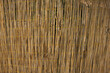 bambus fence pattern or background