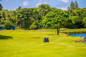 Golfers drive a golf car across a golf course in the Seychelles. Golf sport in the background of a tropical landscape.