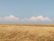 Crimean peninsula. August landscape in the western part of the steppe Crimea.