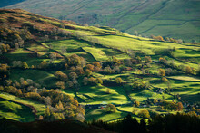 UK, Cumbria, Lake District, Green Fields At Dawn