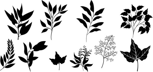 plant nature black set. Set of leaves. Set of Tropical leaves. Collection black leaves palm