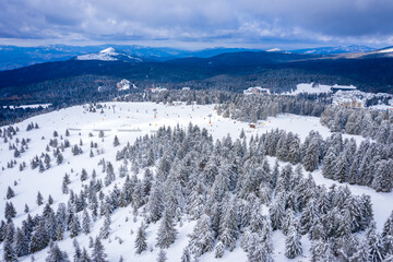 Wall Mural - Panorama of the ski resort Kopaonik in Serbia. Kopaonik National Park, winter landscape in the mountains, coniferous forest covered with snow