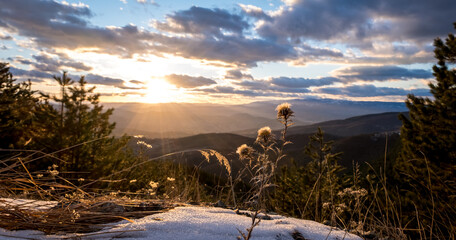 Wall Mural - Winter landscape in the Kopaonik National Park, Serbia. Dry grass on a thawed patch in the foreground. The sun illuminates the Kopaonik valley before sunset. Spring is coming