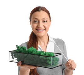 Poster - Portrait of female teacher with moss on white background