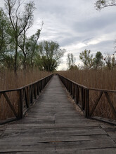 Wooden Bridge In A Field With Overgrown Dry Grass