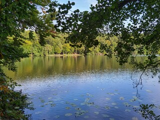 Poster - lake in the park