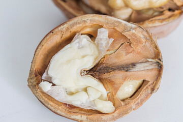 Wall Mural -  two halves of a ripe walnut on a gray-white background macro