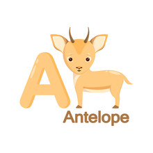 Cute Antelope In Cartoon Style For Children's Alphabet.