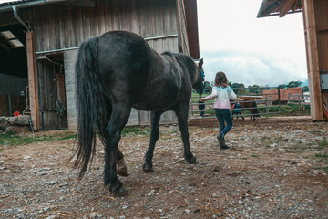 Wall Mural - Little girl goes in for equestrian sports. The child is riding a horse.