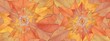 Decorative banner with autumn leaves 