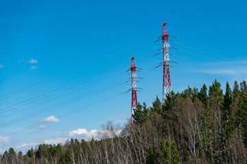 Poster - Red-white Electric poles high above the forest.