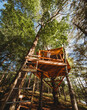 © Cavan Images - Teen boy looking over the rail of a treehouse beside a lake.