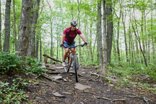 Man Riding A Mountain Bike Through A Wooded Area On Summer Day.