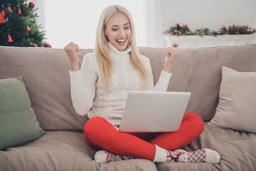 Sticker - Full size photo of young attractive woman happy positive smile sit couch look laptop rejoice victory celebrate holiday indoors