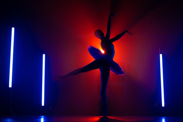 Wall Mural - Solhouette of ballerina is practicing elements in studio with neon colorful light. Young woman dancing in classic tutu dress. Gracefulness and tenderness in every movement.