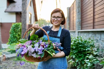 Wall Mural - Middle-aged woman gardener florist in an apron with basket of fresh flowers folded in floral arrangement.
