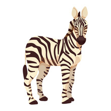 Grevy's Zebra, Animal Of The African Savannah. Cartoon Vector Graphics.