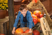 Smiling Boy Sitting And  Holding  Pumpkins At The Farm Surrounded By Many Pumpkins In Autumn