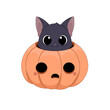 Słodki czarny kot chowający się w wydrążonej dyni. Halloween. Cukierek albo psikus! Uroczy ręcznie rysowany mały kotek. Ilustracja wektorowa.