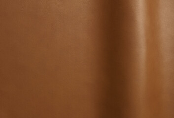 Wall Mural - leather texture background surface