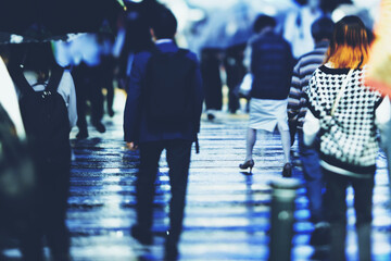 Wall Mural - 雨の日の横断歩道