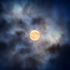 Wall Mural - night view at the full moon through moving blue clouds