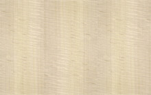 Bleached Light Sycamore Wood Veneer Texture Isolated